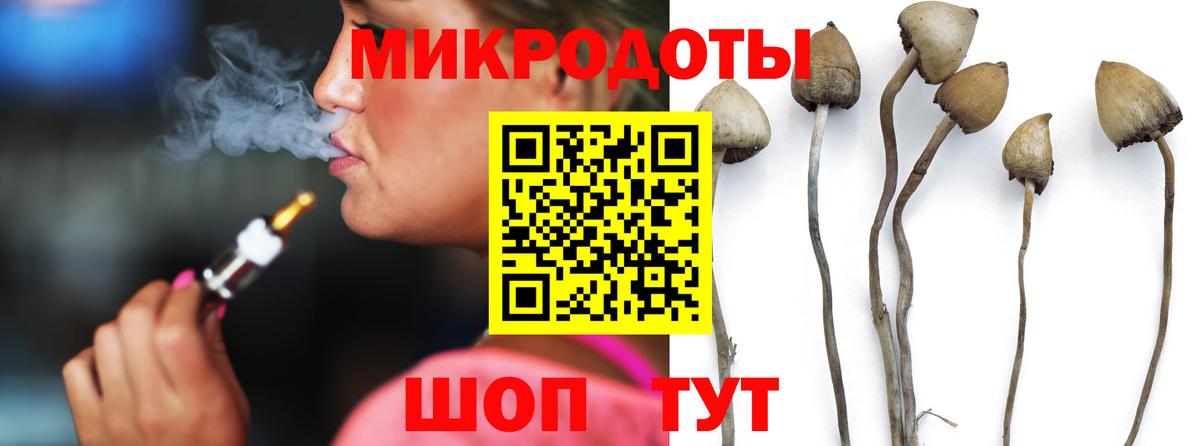 Псилоцибиновые грибы Cubensis  Вход с VPN  Коломна 